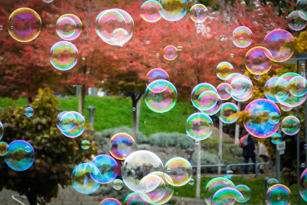 Soap Bubbles in the Park